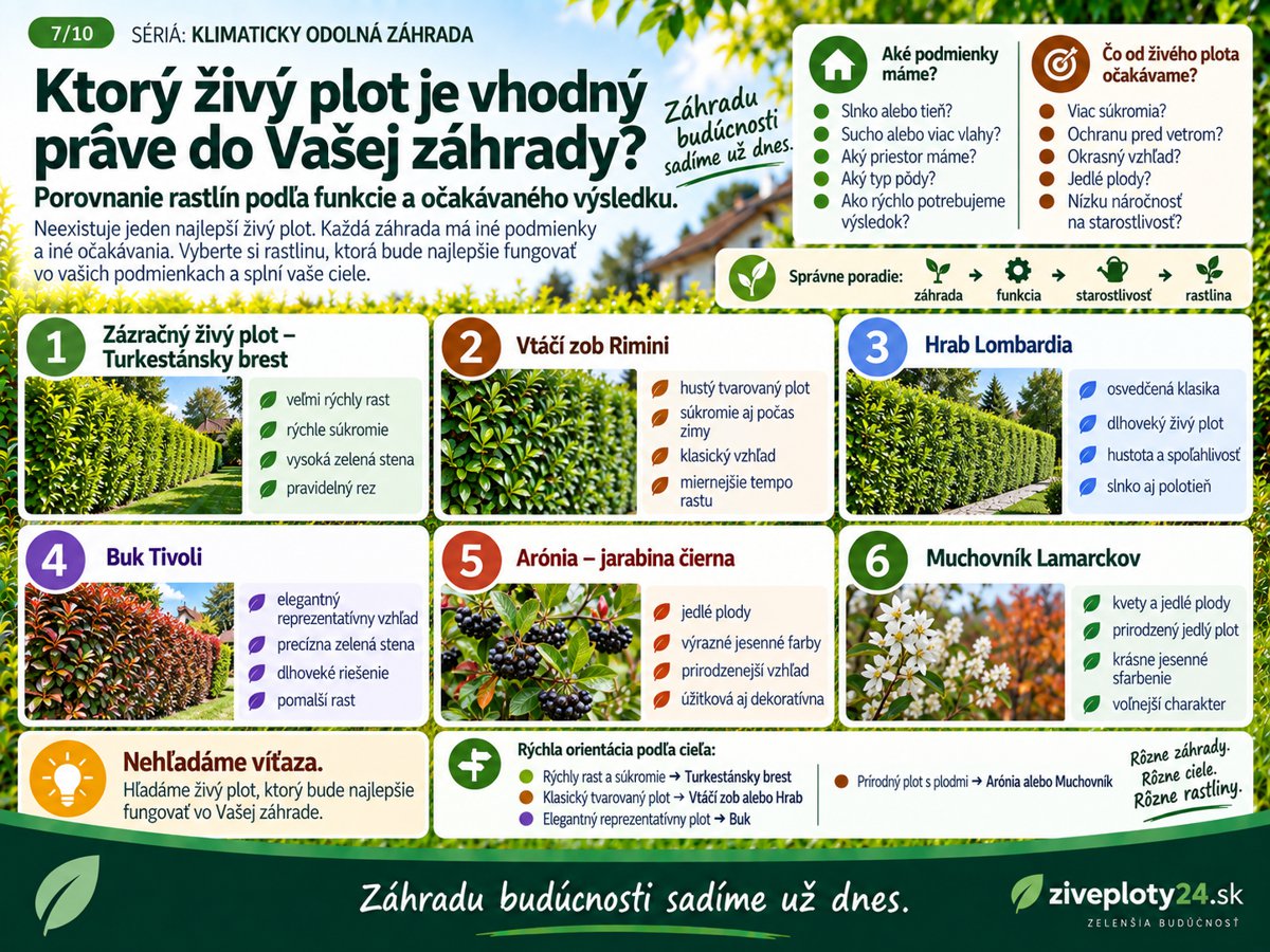 Najskôr spoznajte záhradu, potom vyberte živý plot